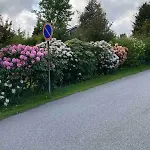 Short Way To Centre And Aker Solutions! * Stord